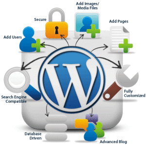WordPress CMS